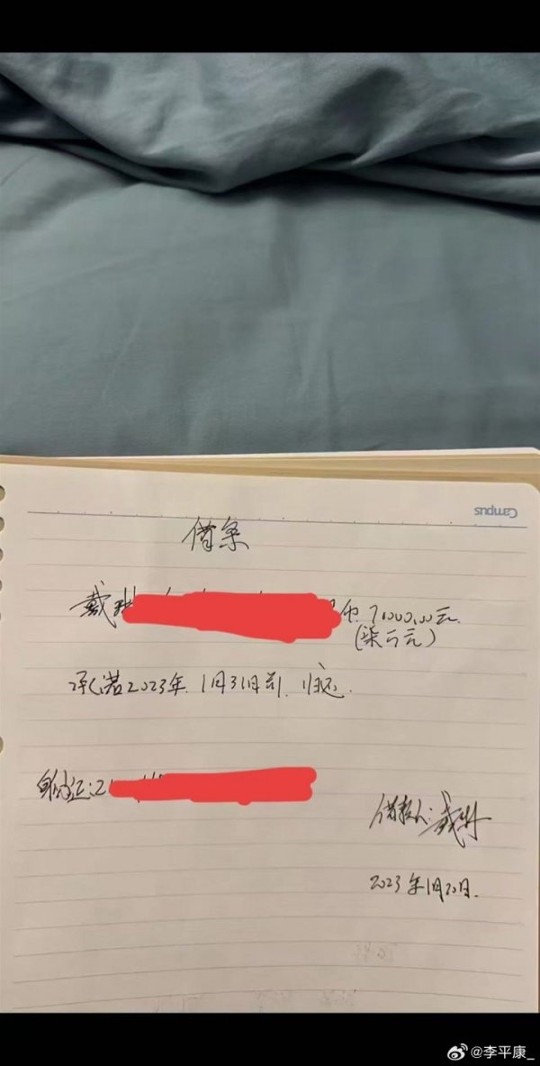 过期两年半🤯李平康晒7万借券爆料戴琳告贷不还，300块齐拿不出