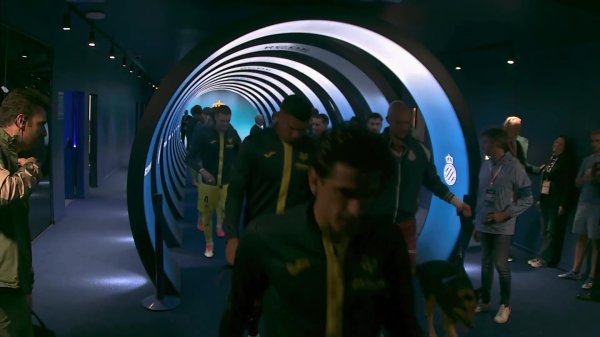 鼓动宠物领养！西班经纪东说念主球员赛前带着11只狗狗入场